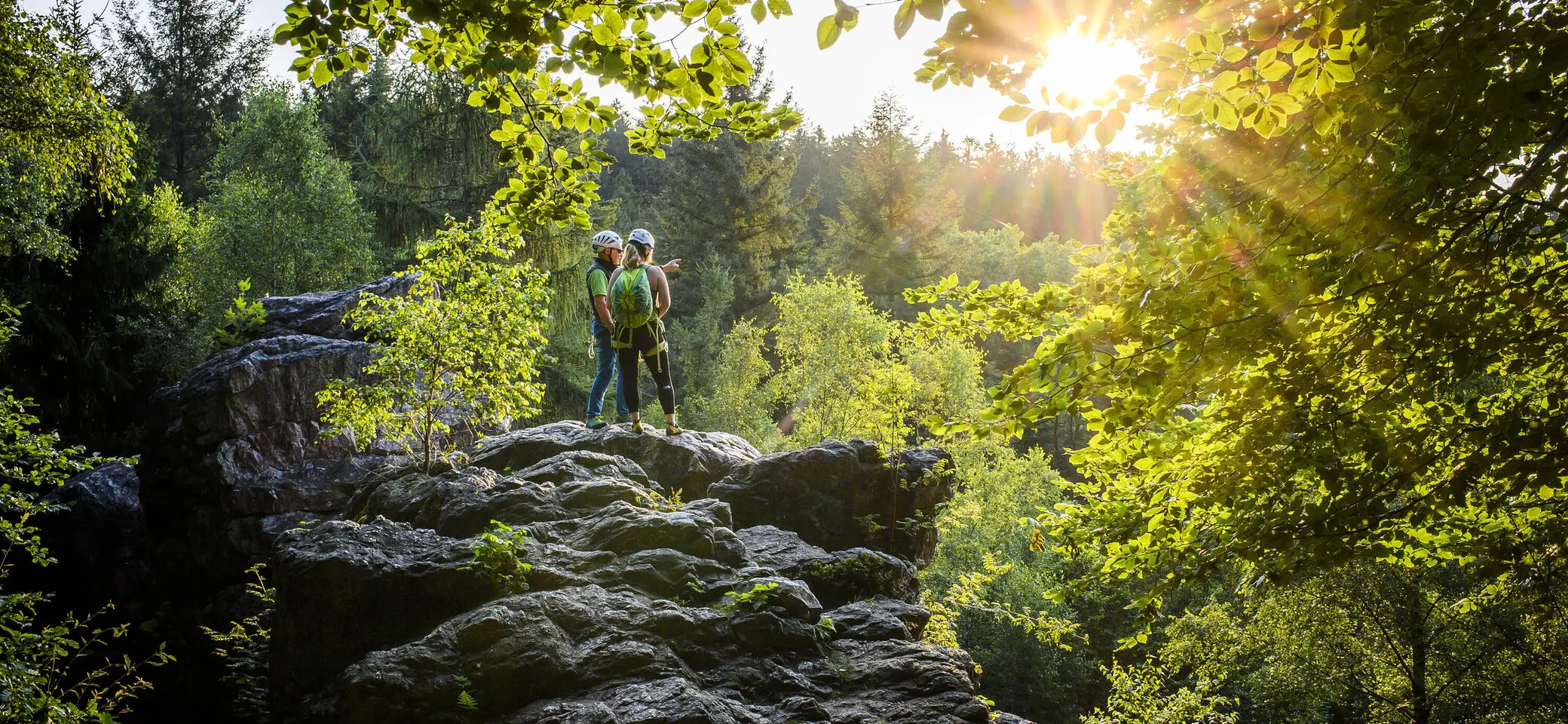 Bild von der Webseite von DAV-Kletterzentrum Hochwald